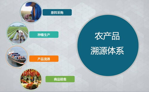 三维码诚信溯源超市 以物联网技术赋能农产品溯源，驱动智慧农业新未来